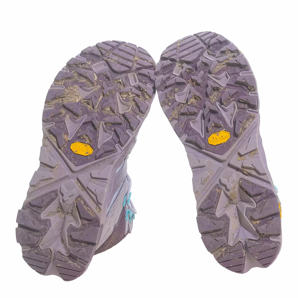 9.5Purple