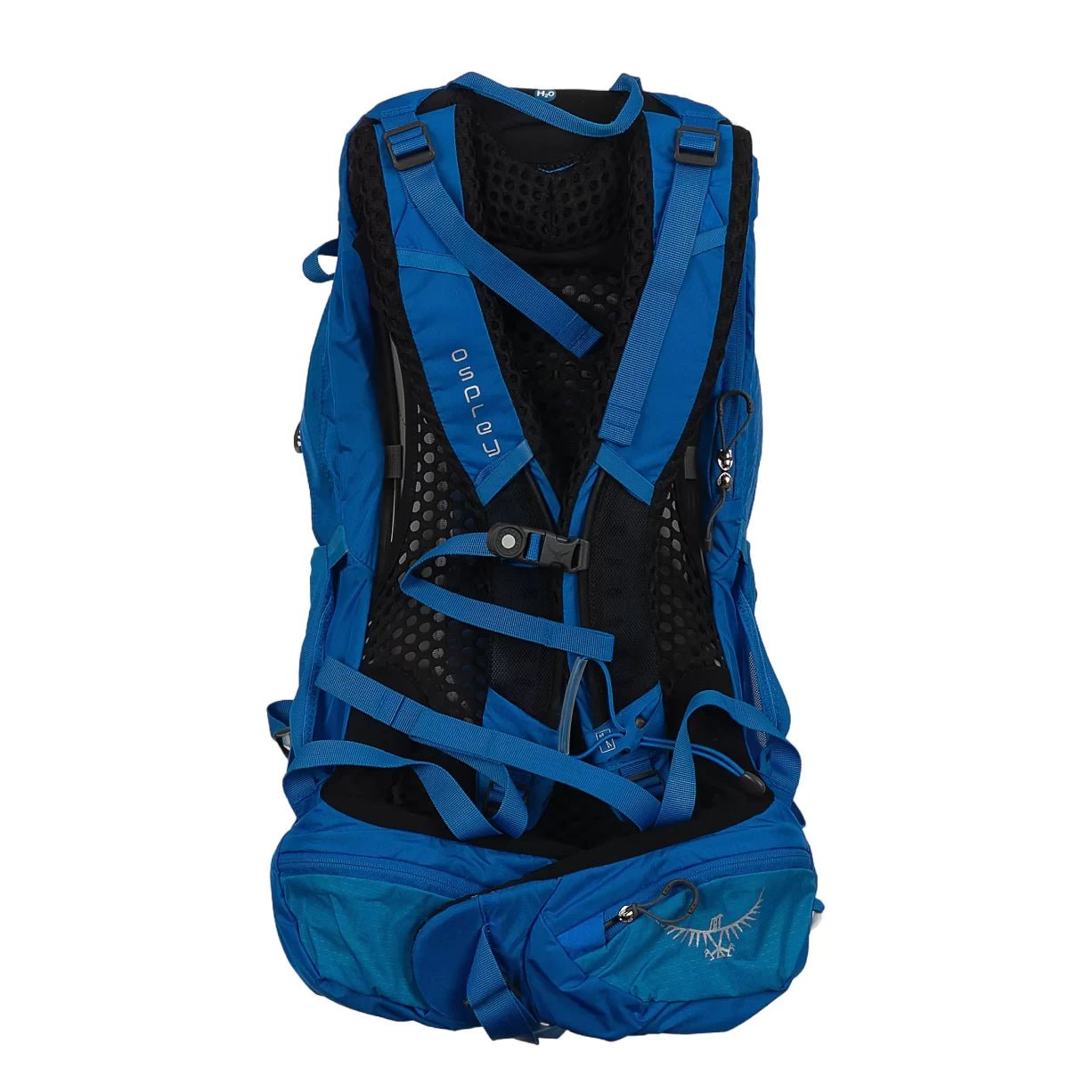 28 LBlue