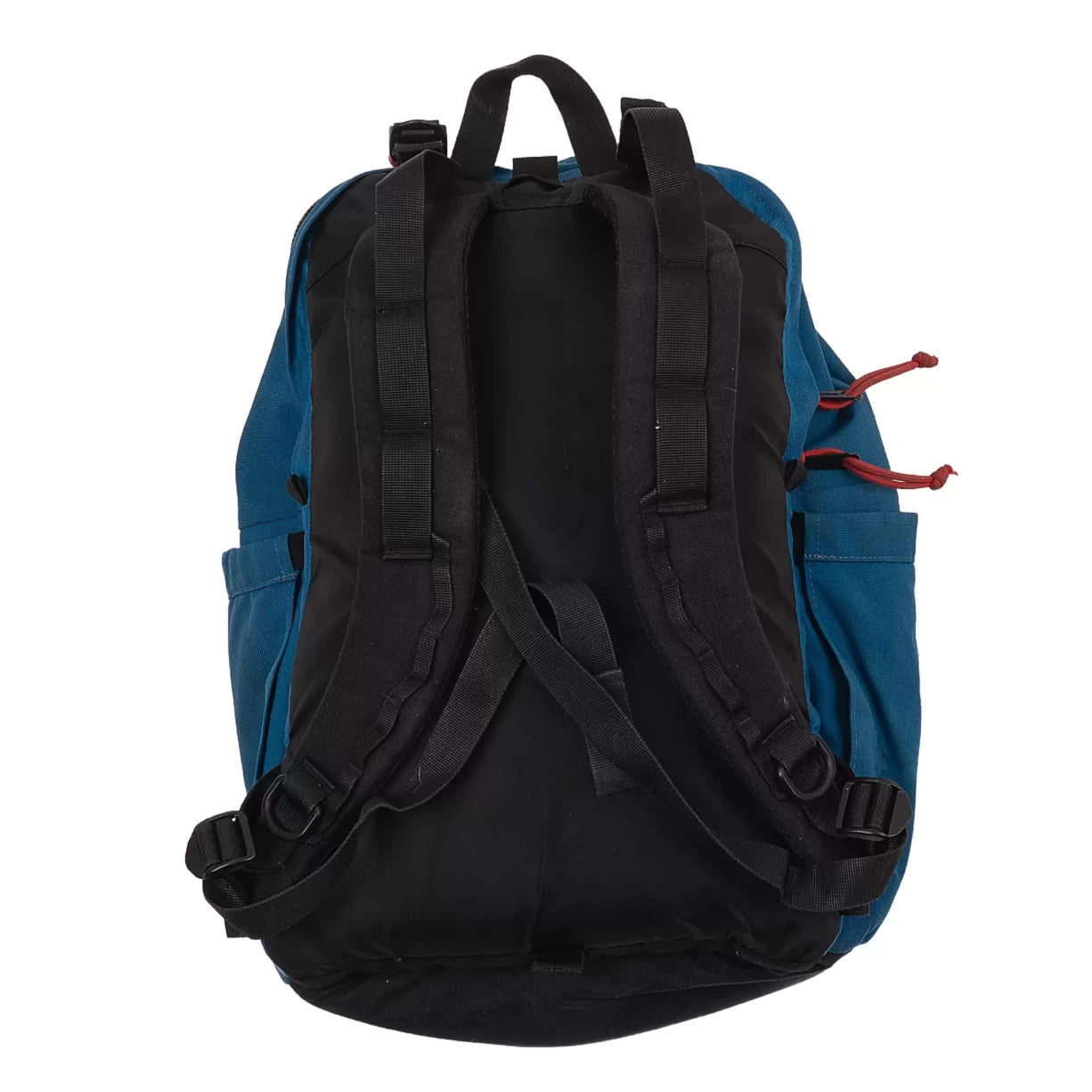 25 LBlue