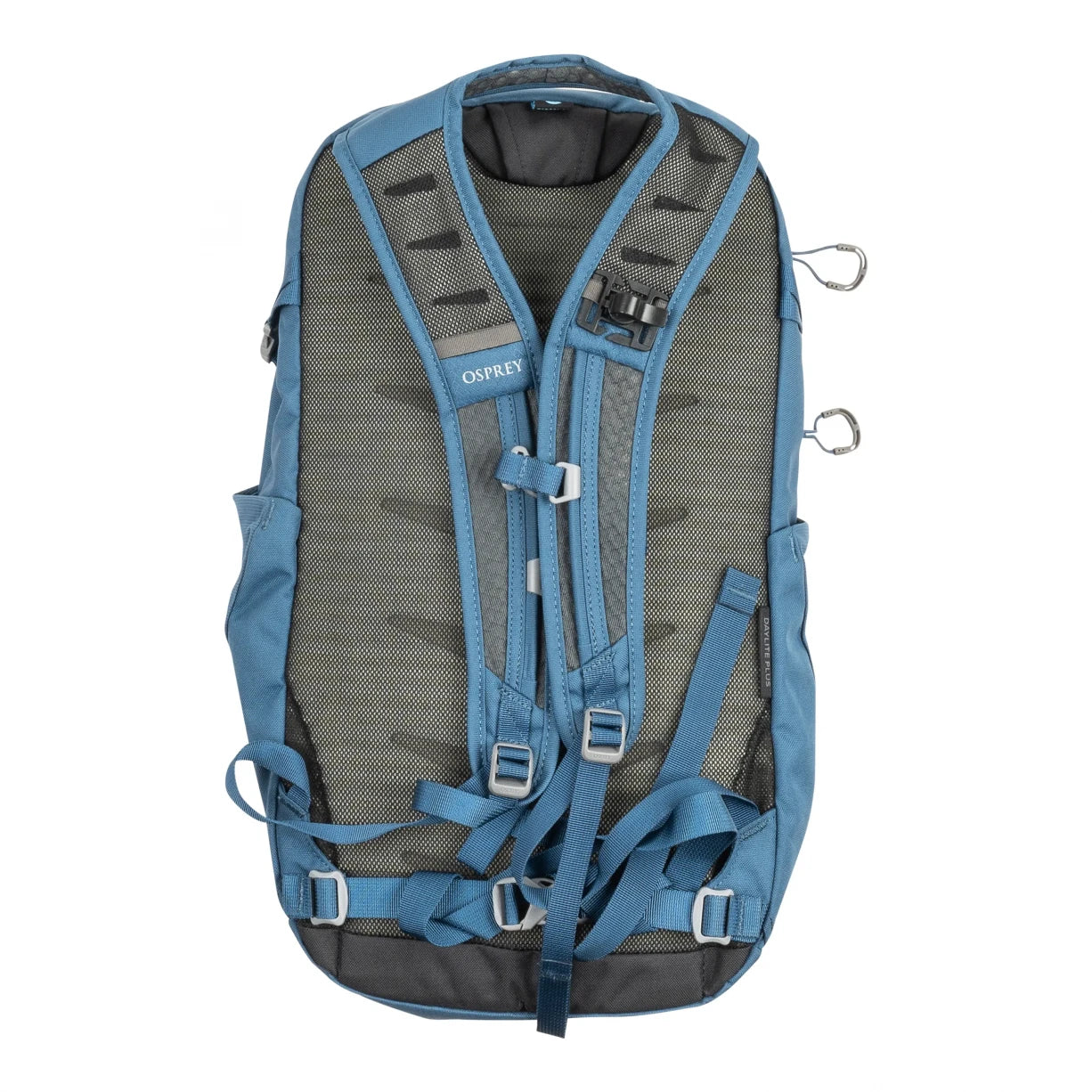 20 LBlue