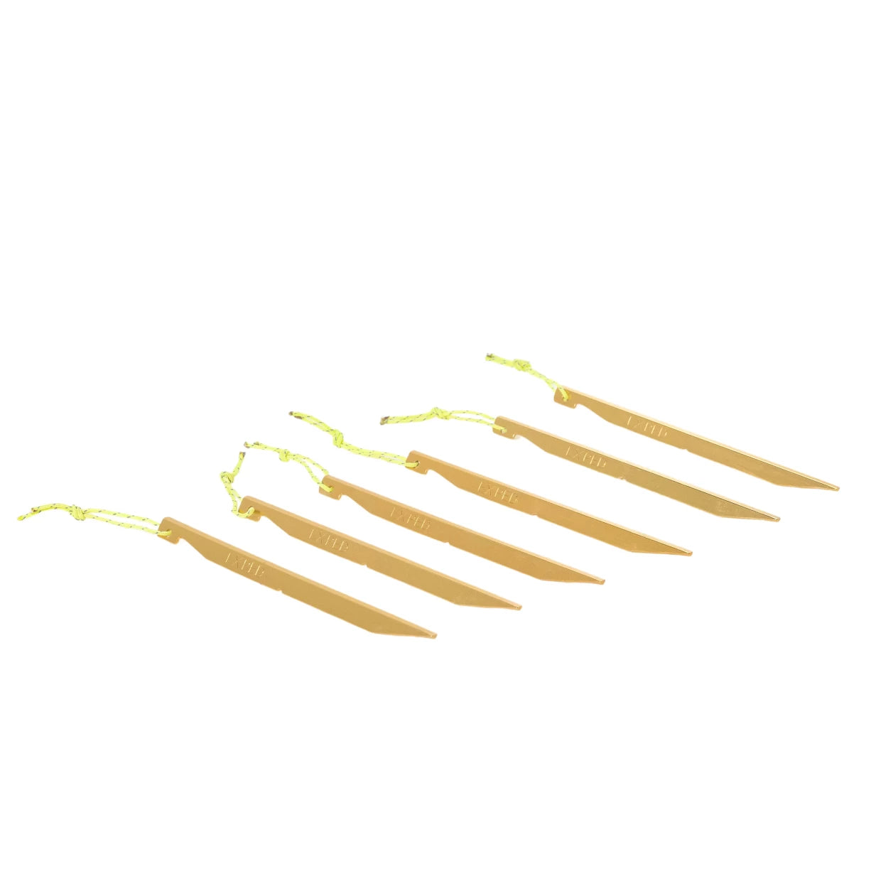 6Gold