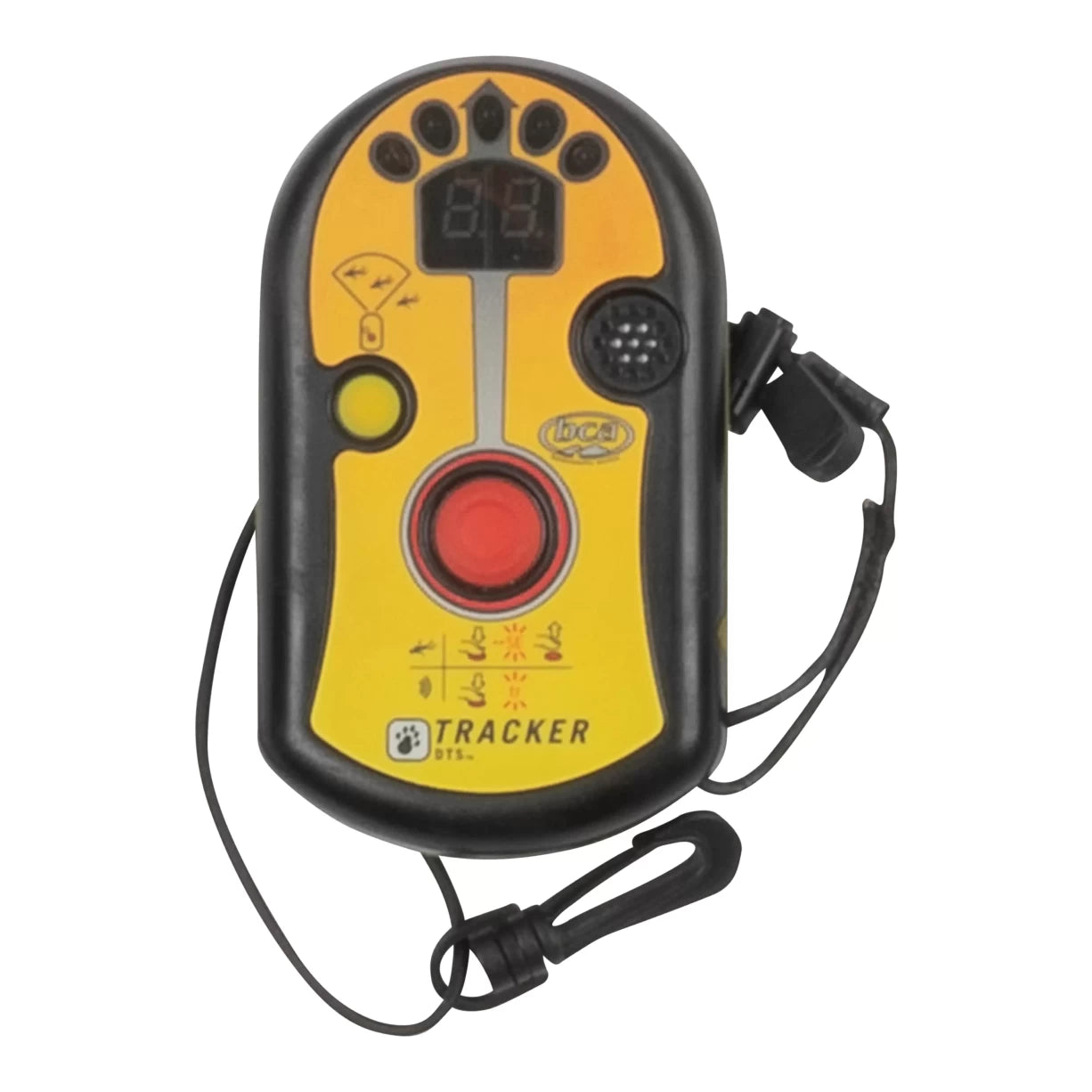 One SizeBlack/Yellow