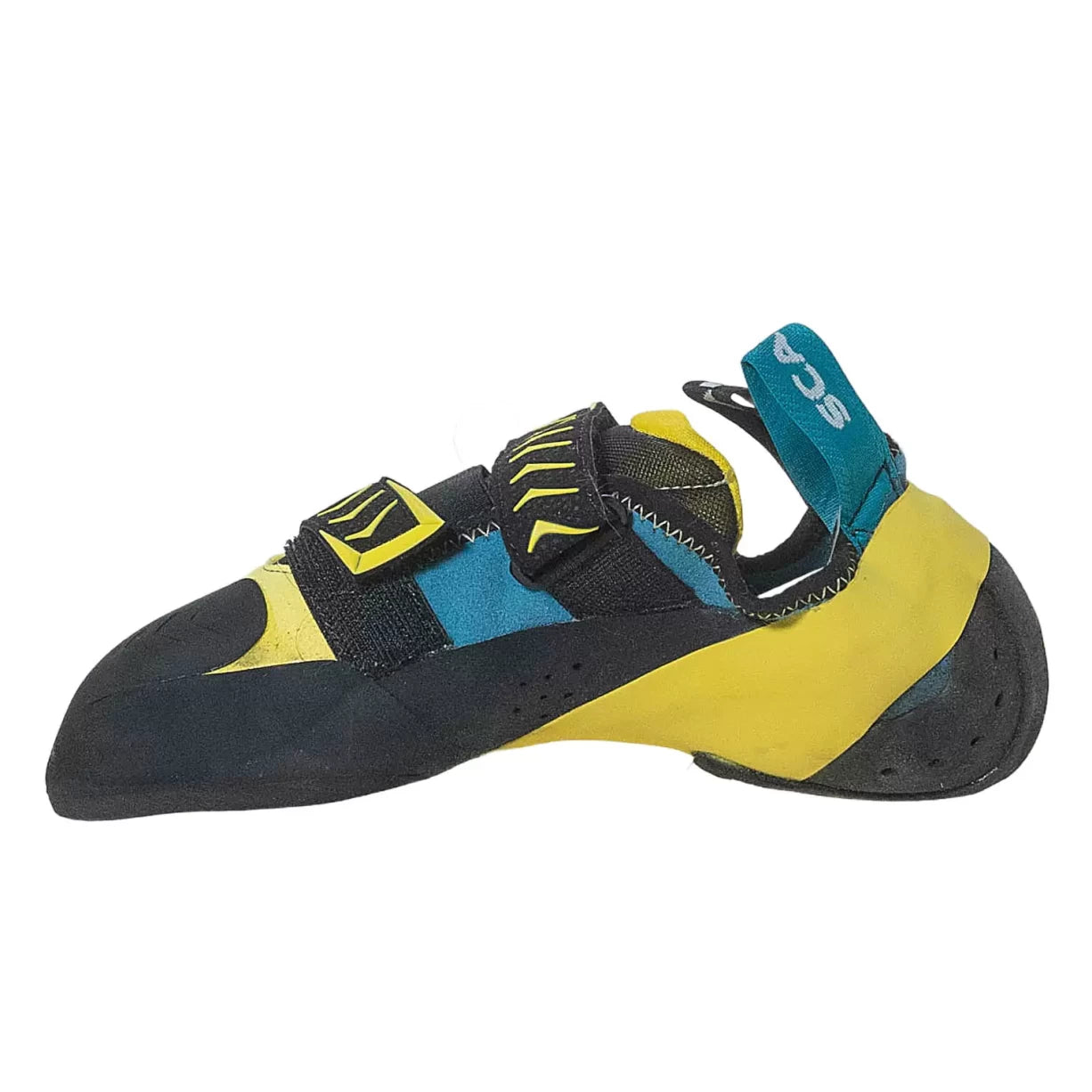 40.5Blue/Yellow