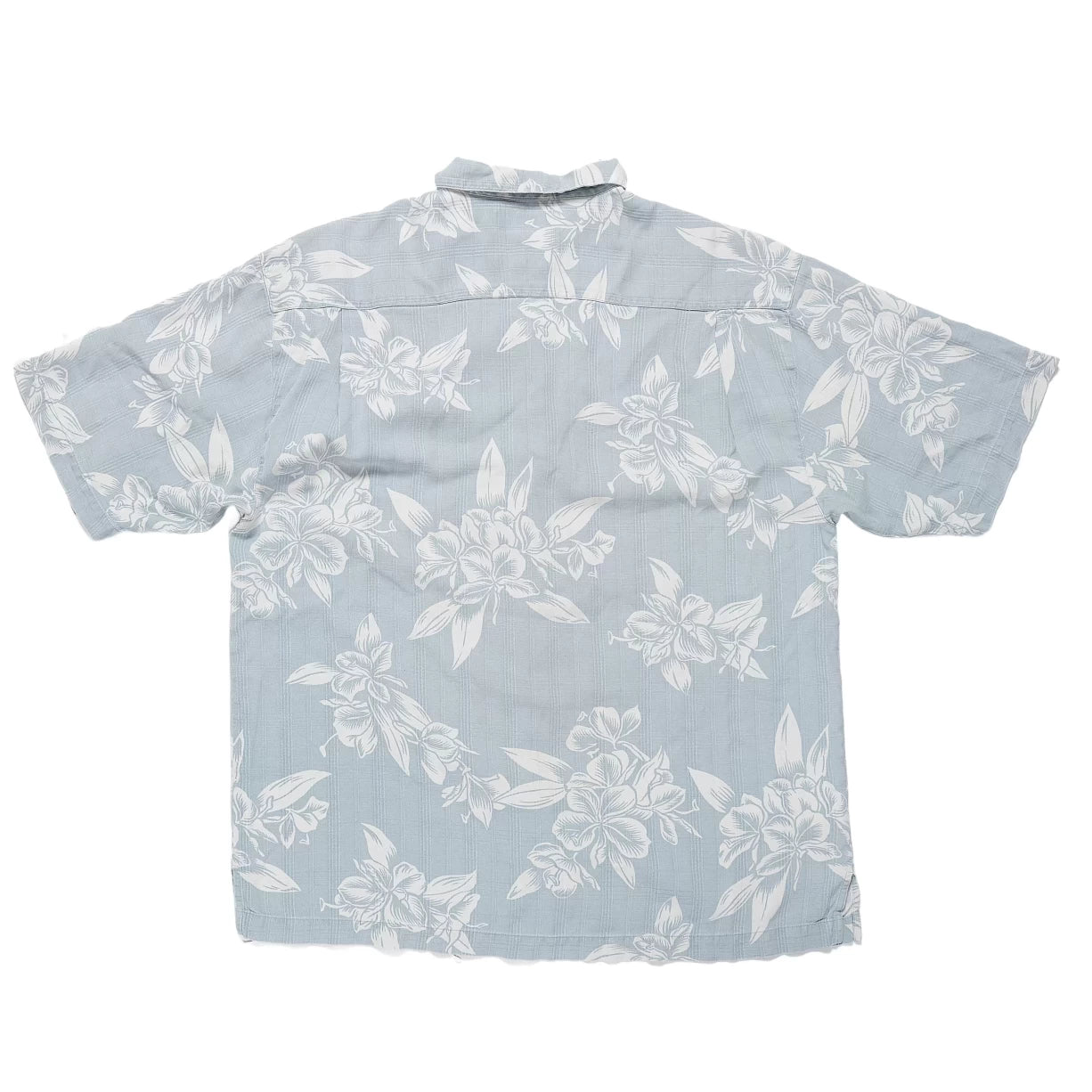 LLight Blue