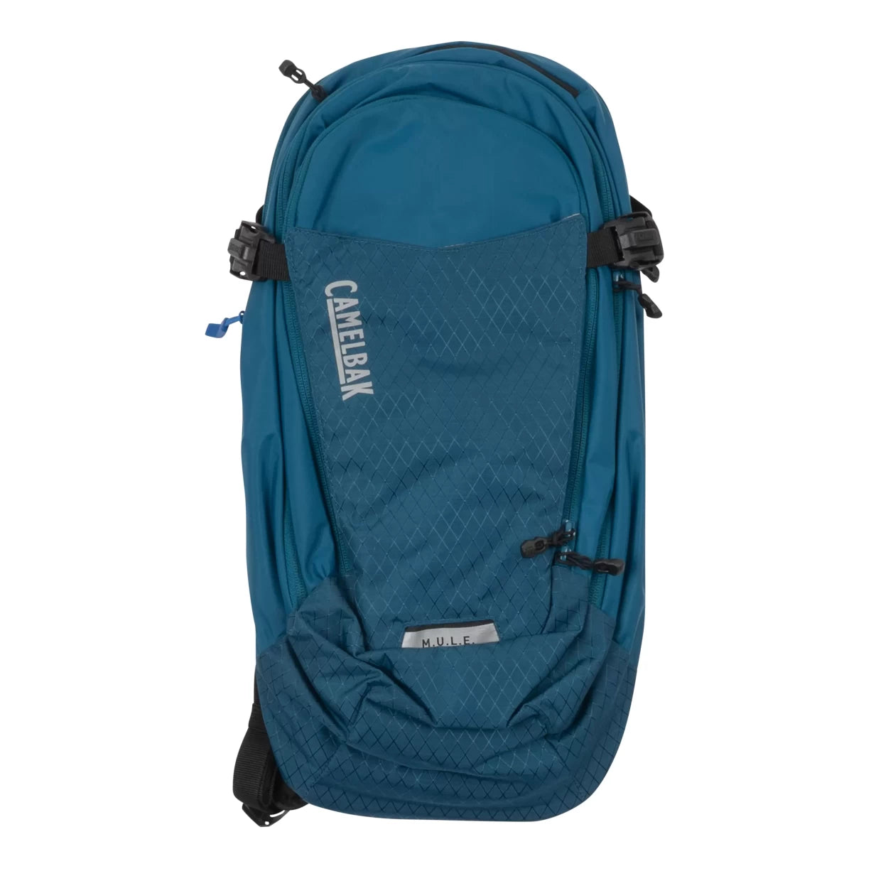 12 LBlue