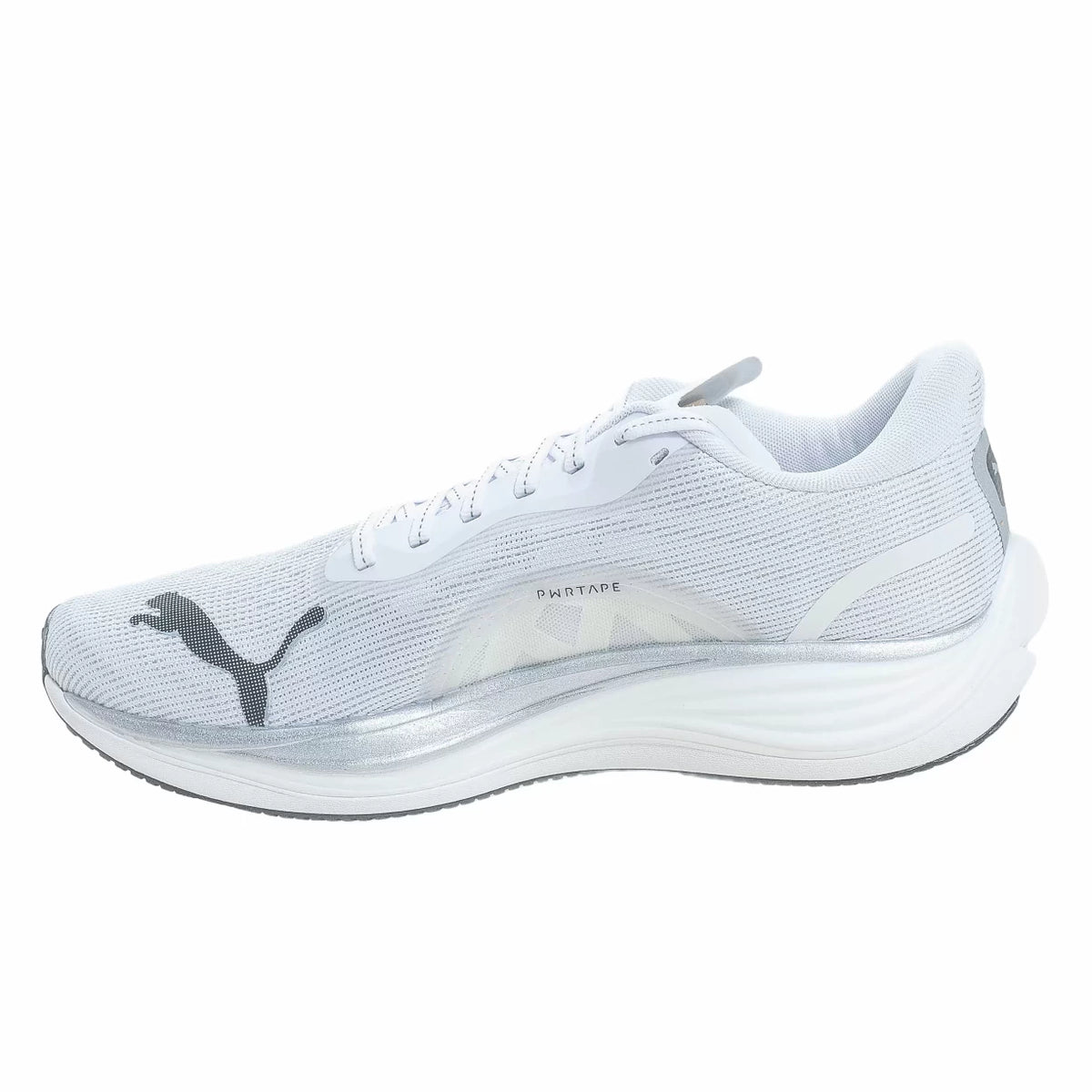 10White/Gray