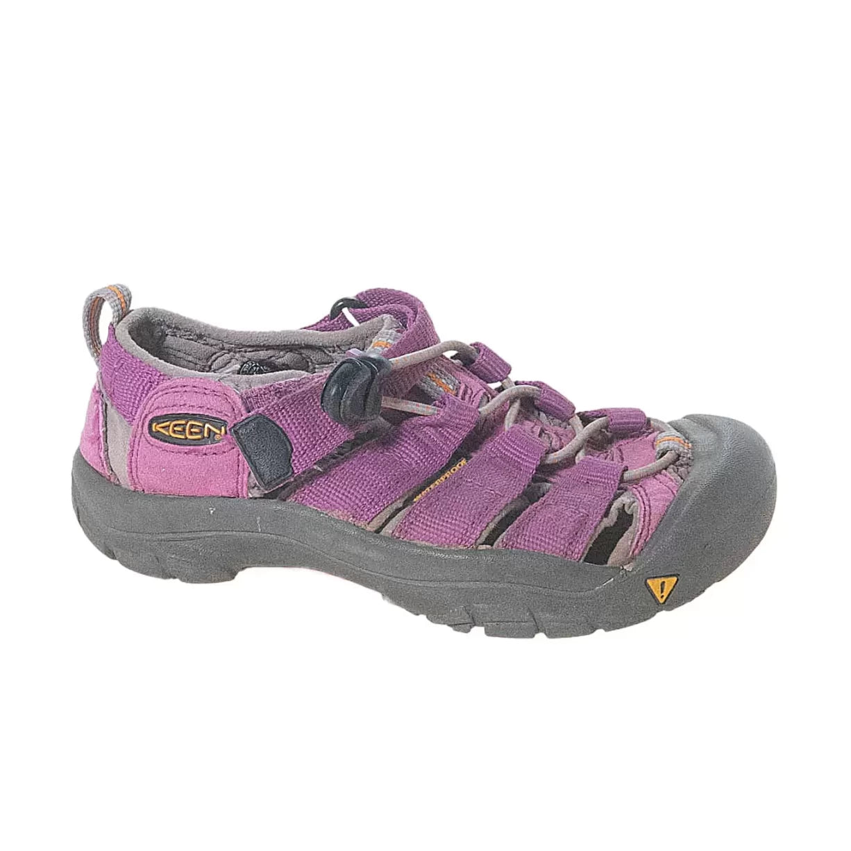 13Purple