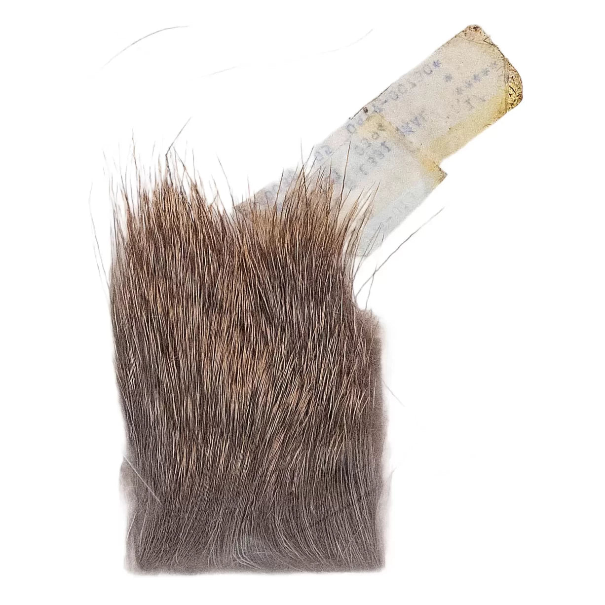 One SizeNatural
