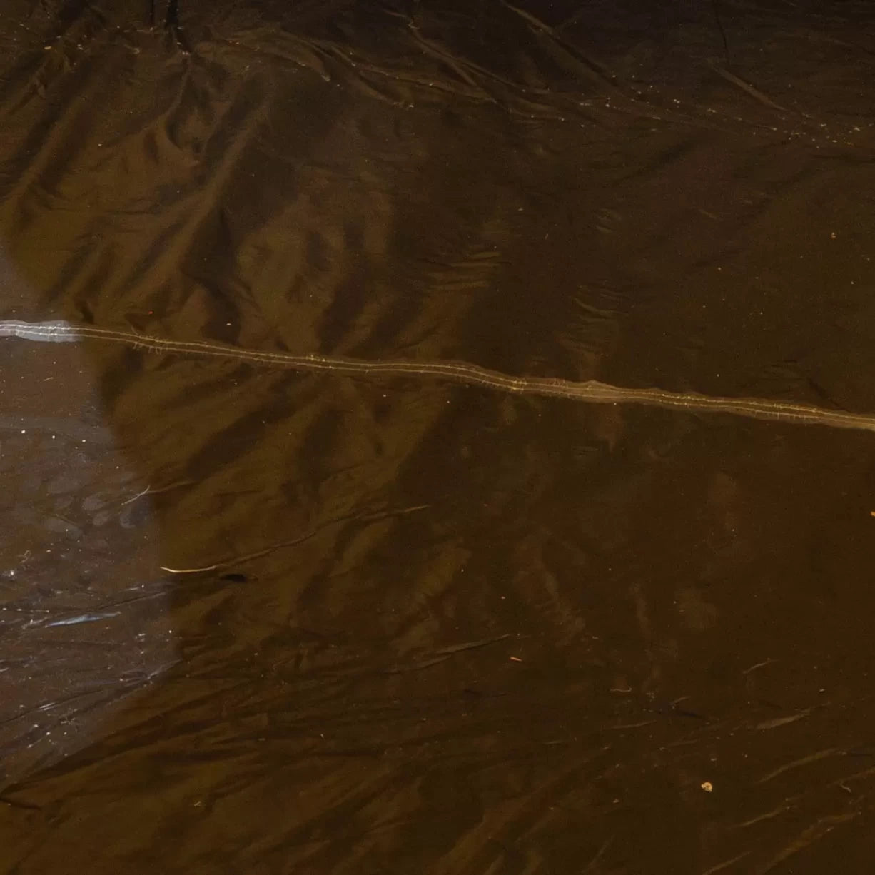 3 PersonBlack/Yellow