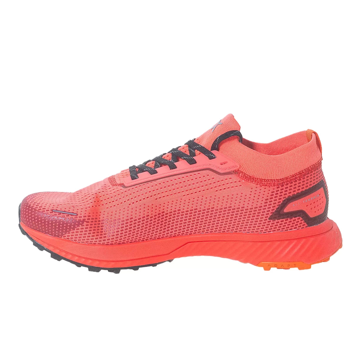 12Salmon
