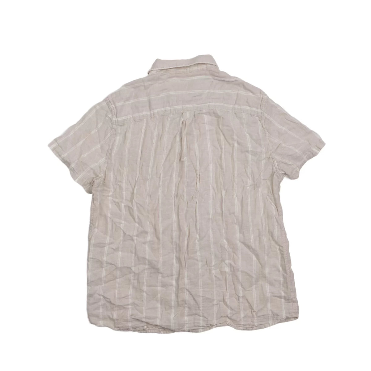 XXLWhite