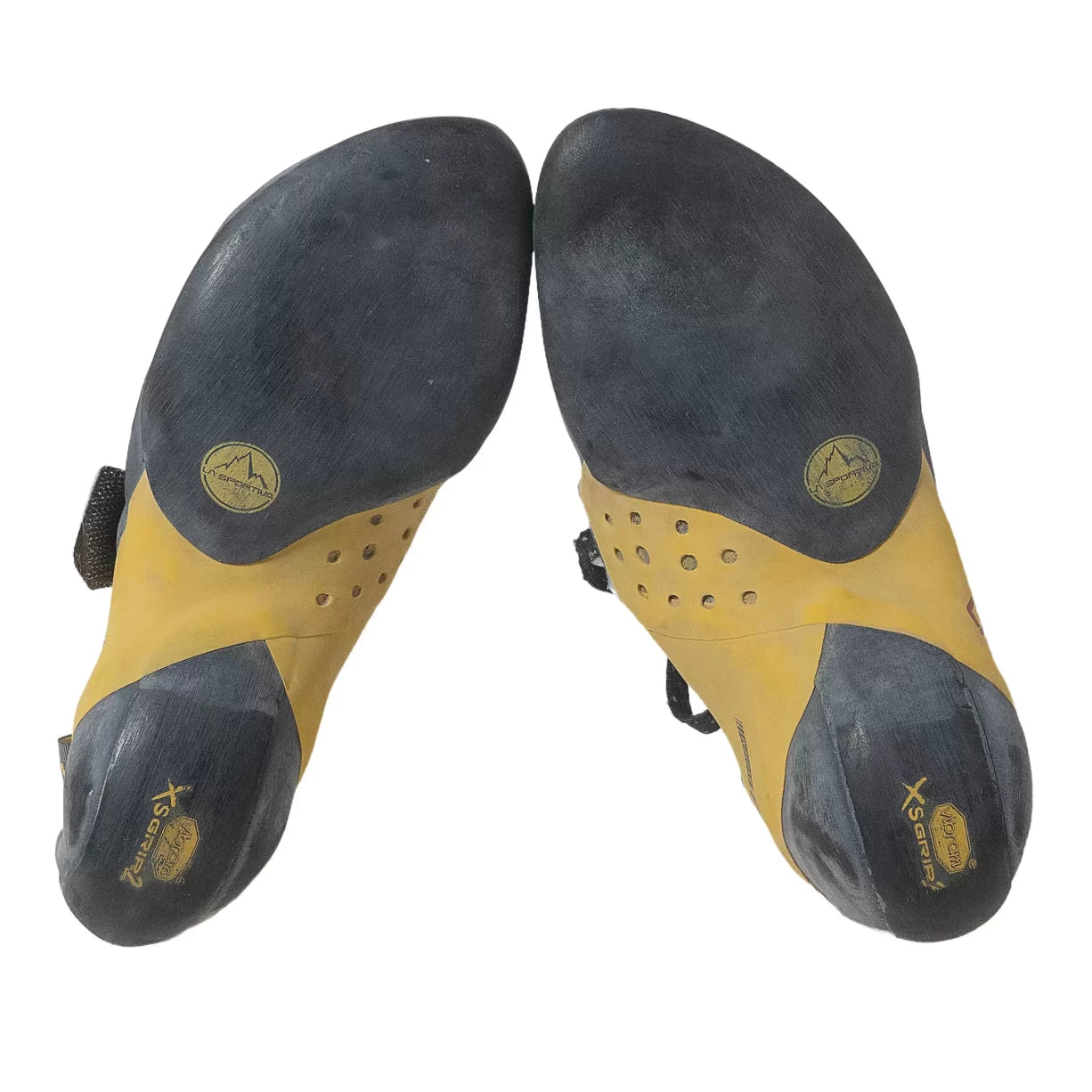 40.5Black/Yellow