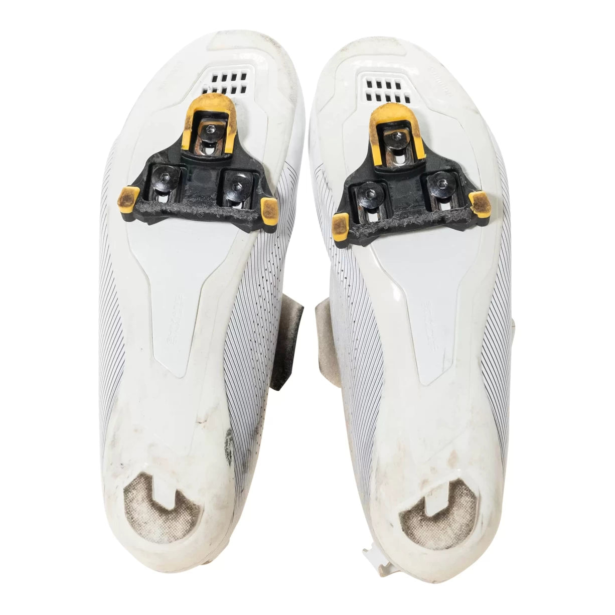 44.0White