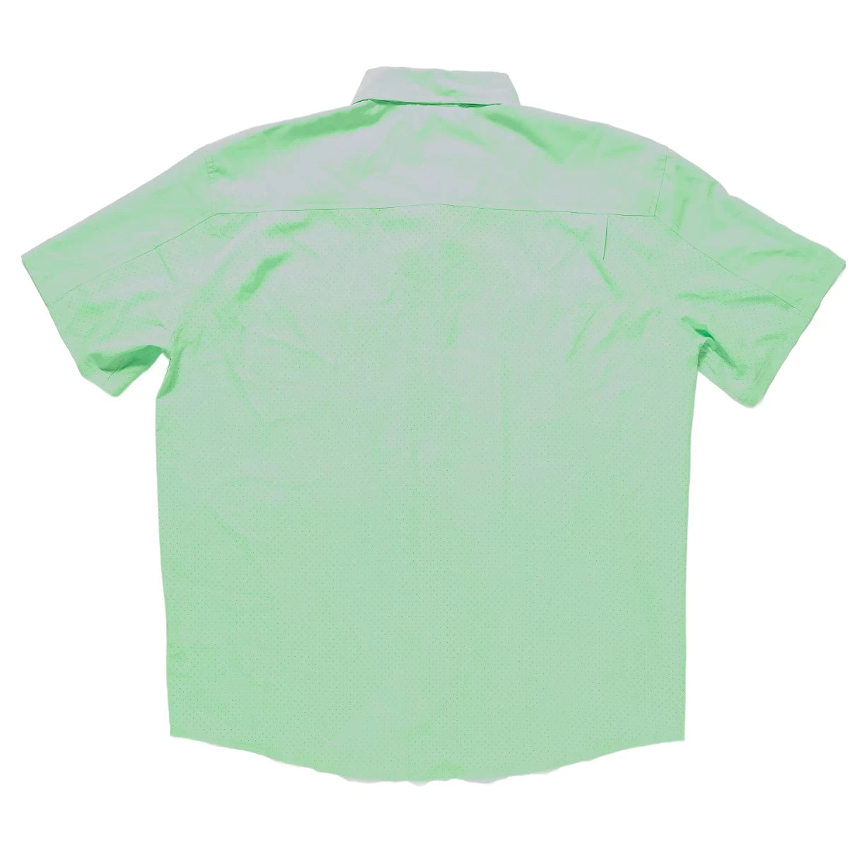 LSummer Green