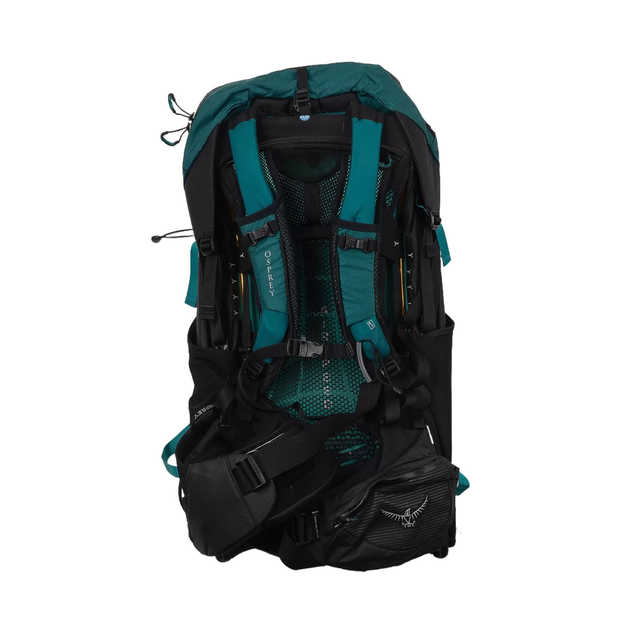 LGreen/Black