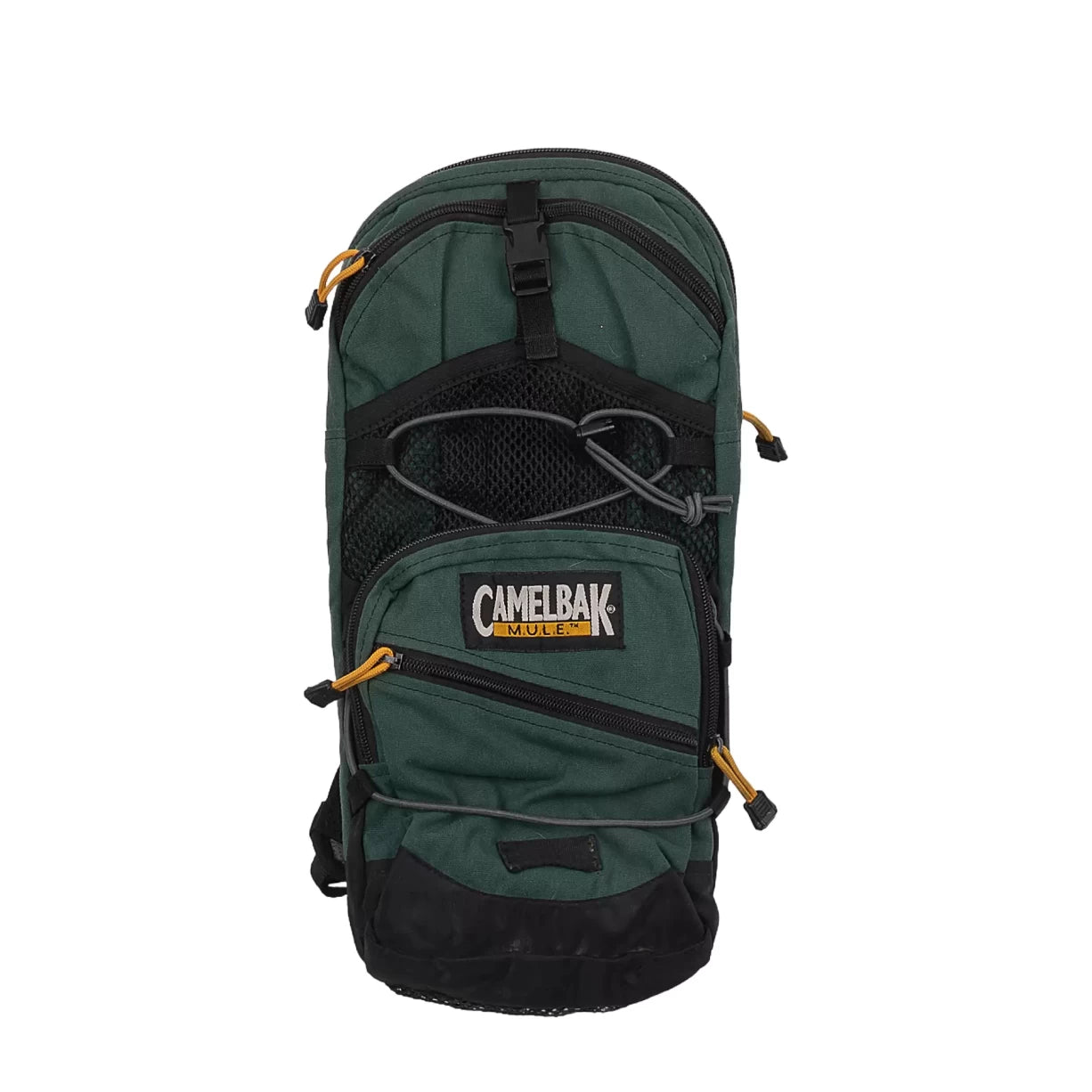 12 LForest Green