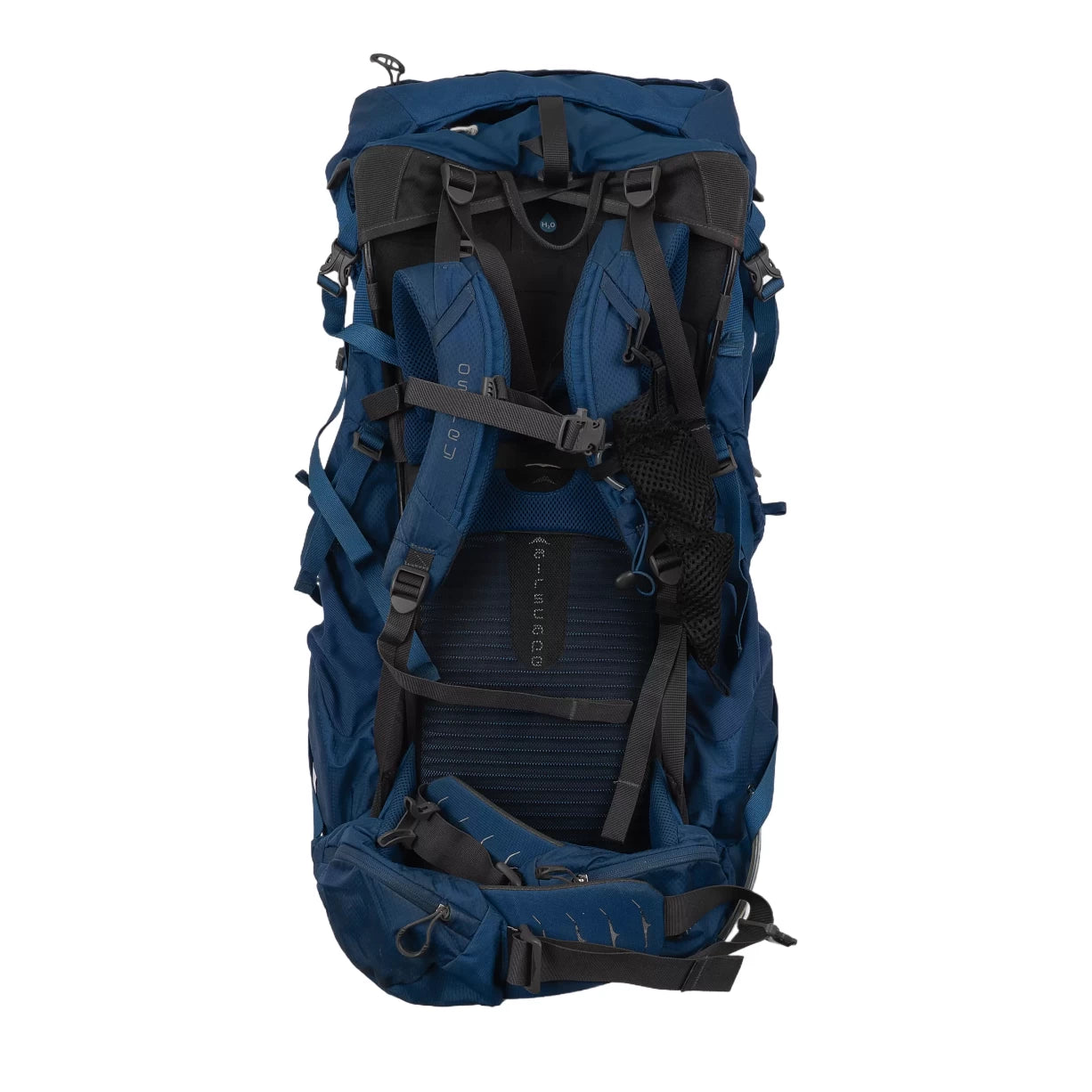 75 LBlue
