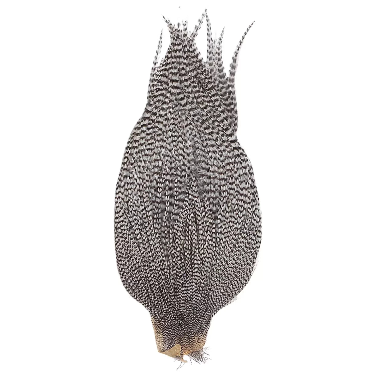 One SizeWhite / Brown