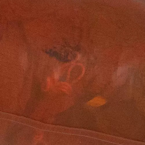 2 PersonOrange