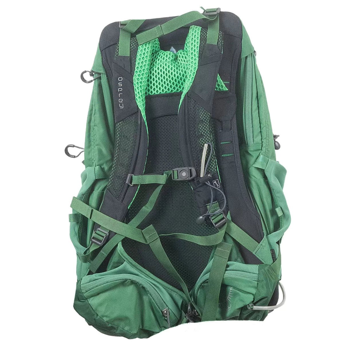 24 LGreen