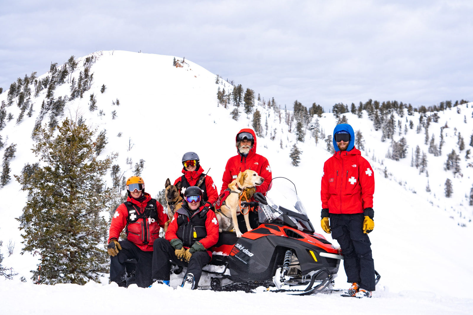 A DAY IN THE LIFE OF AN AVALANCHE DOG