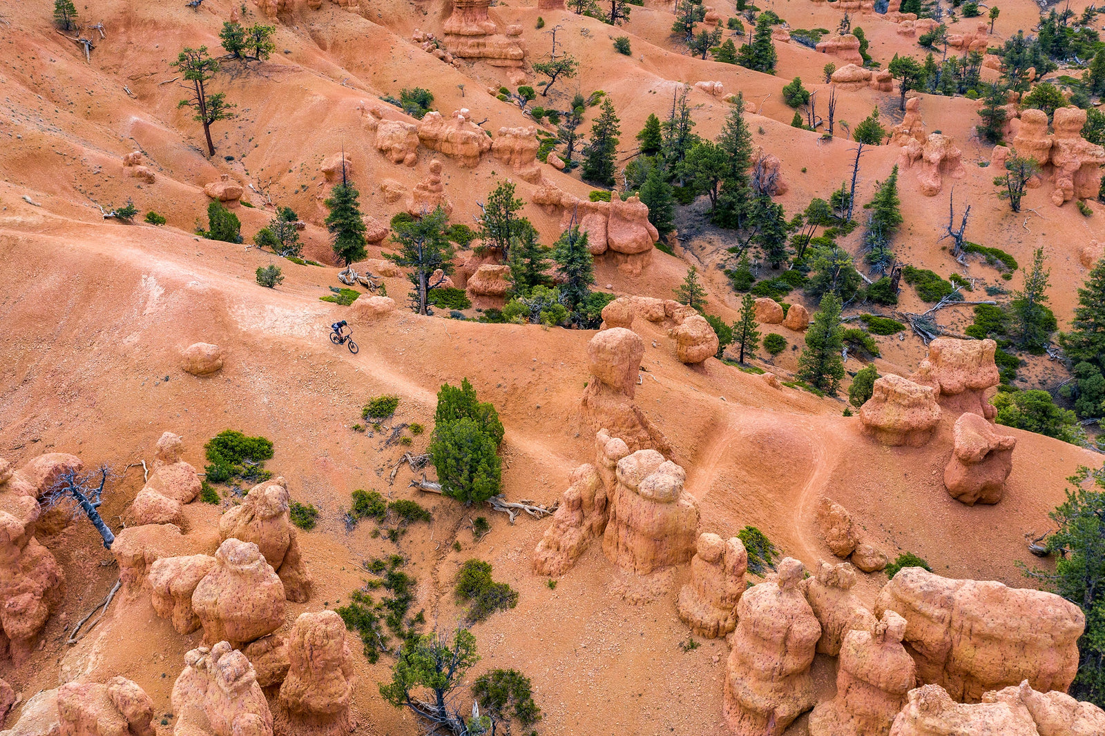 Top 5 Tips for Desert Adventures