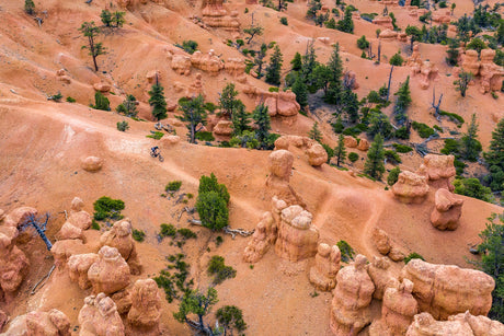 Top 5 Tips for Desert Adventures