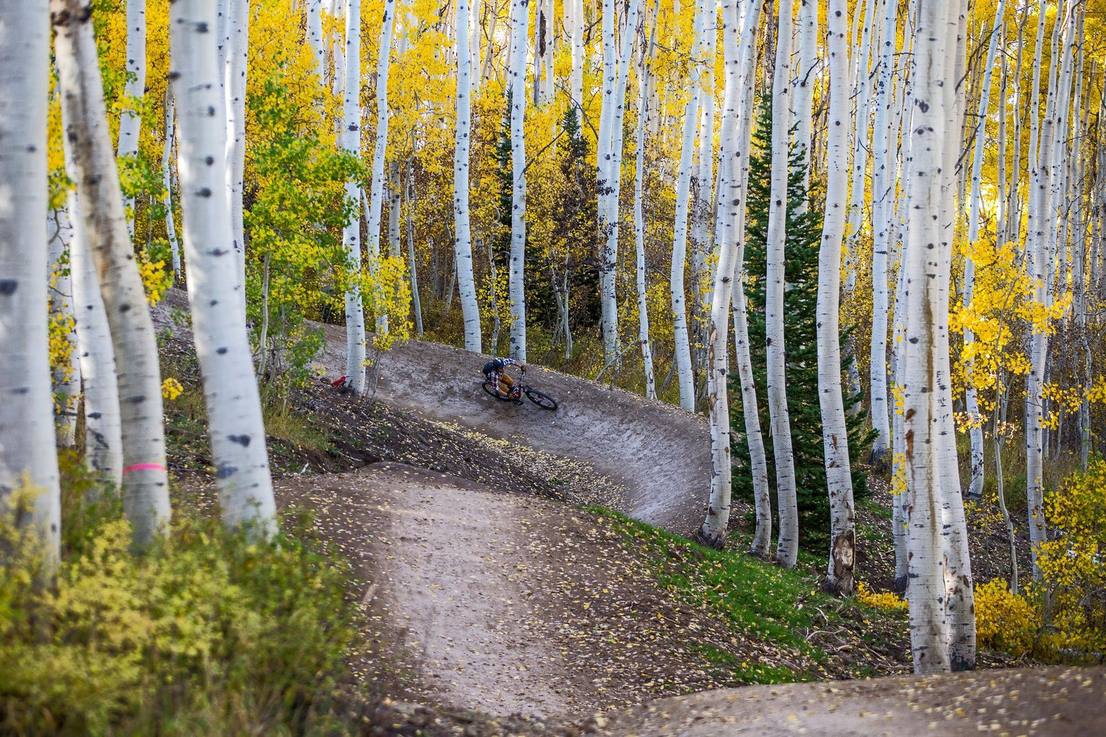 Fall Mountain Bike Layering Guide