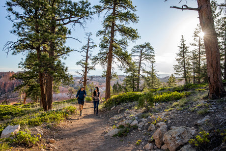 Runners, Bikers, Hikers, and Horses: Who has the right of way?