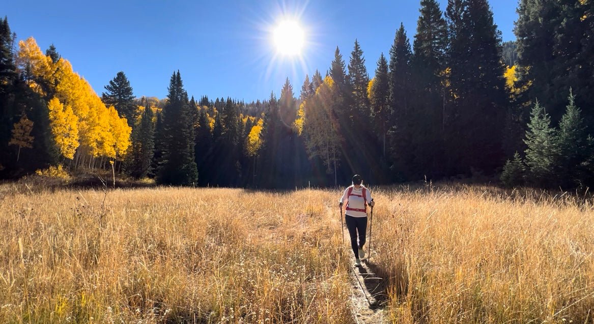GT: All About Trekking Poles