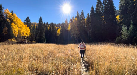 GT: All About Trekking Poles