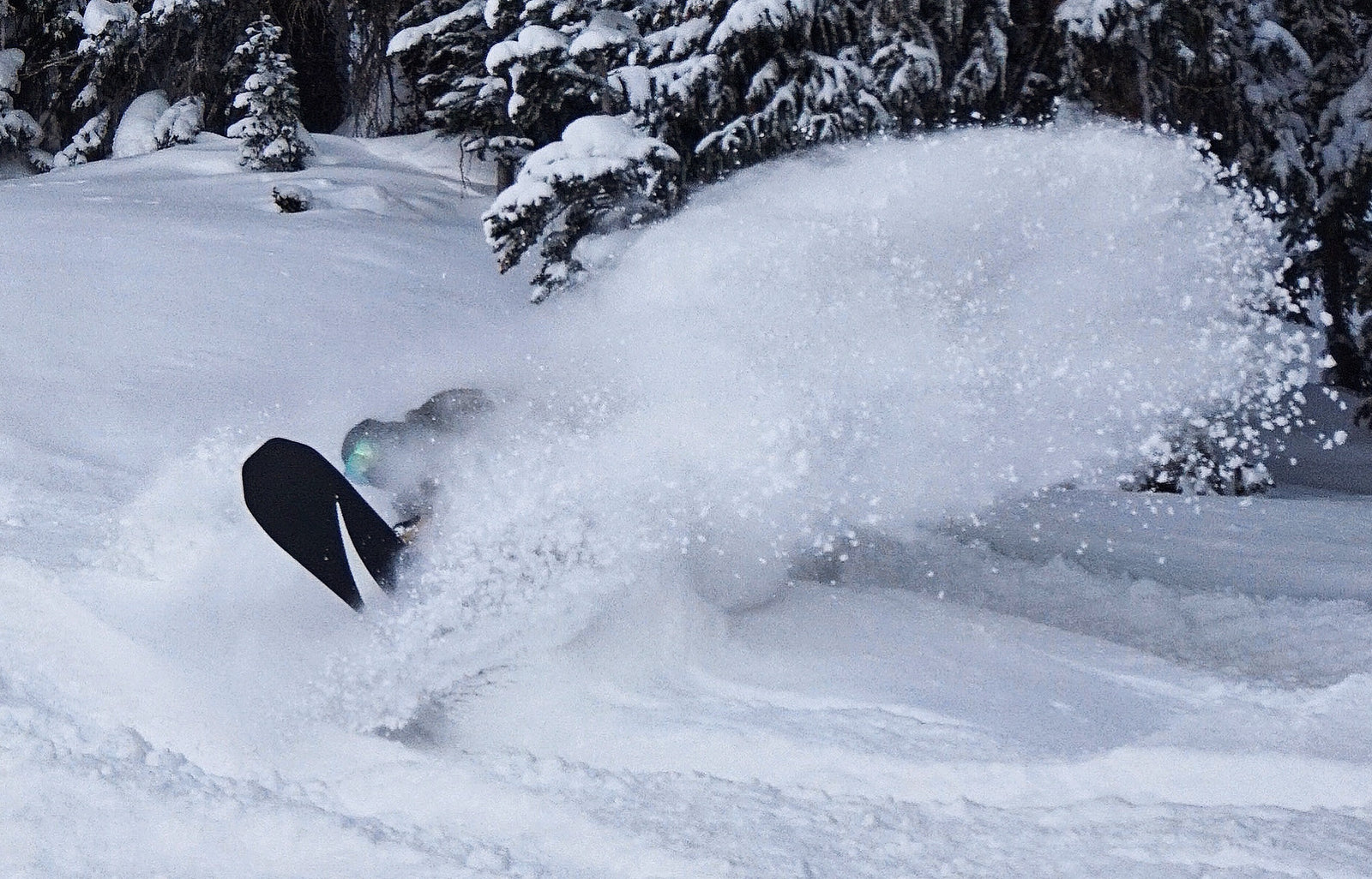 Snowboard Anatomy 101