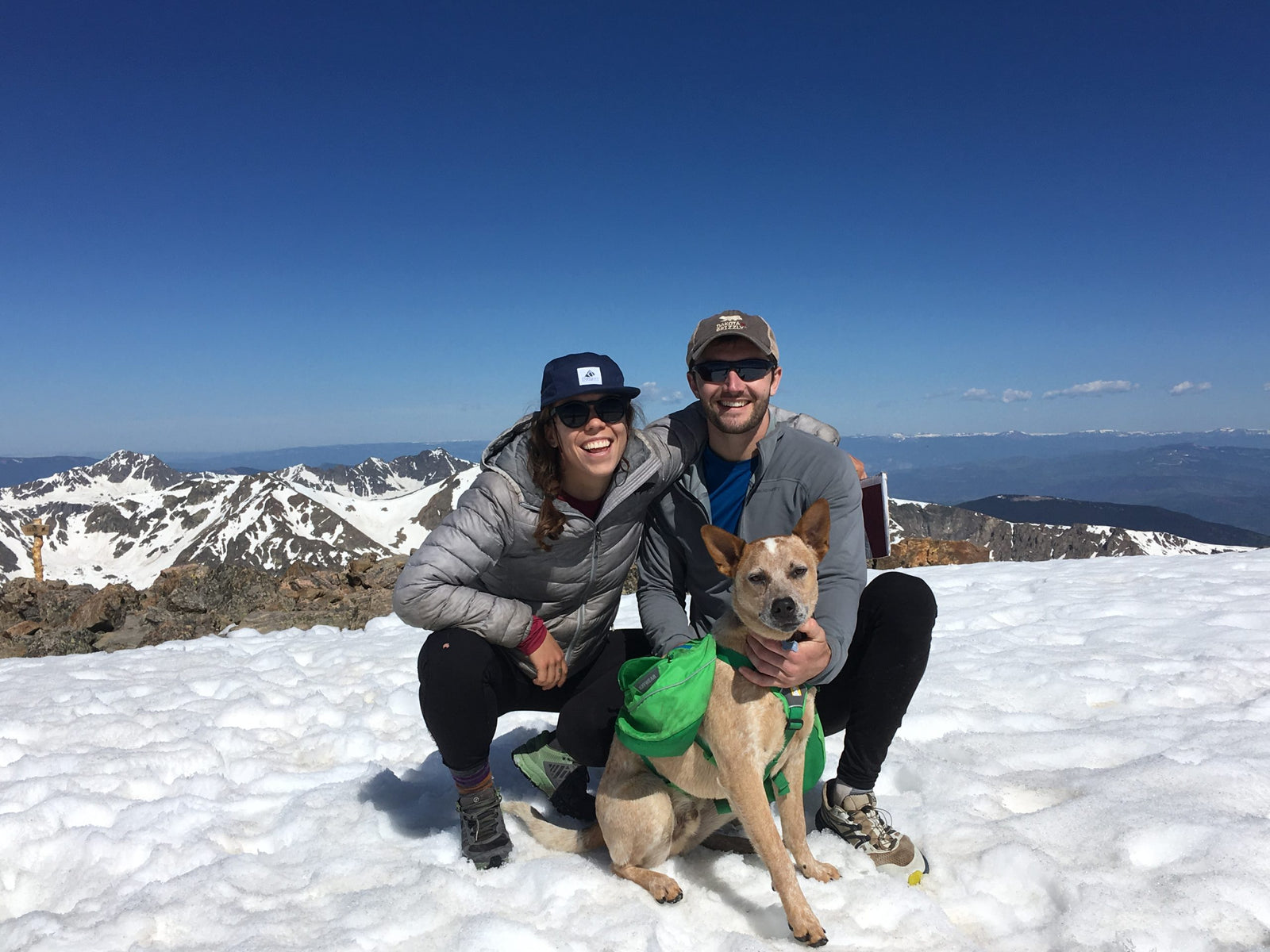 people with dog in snow