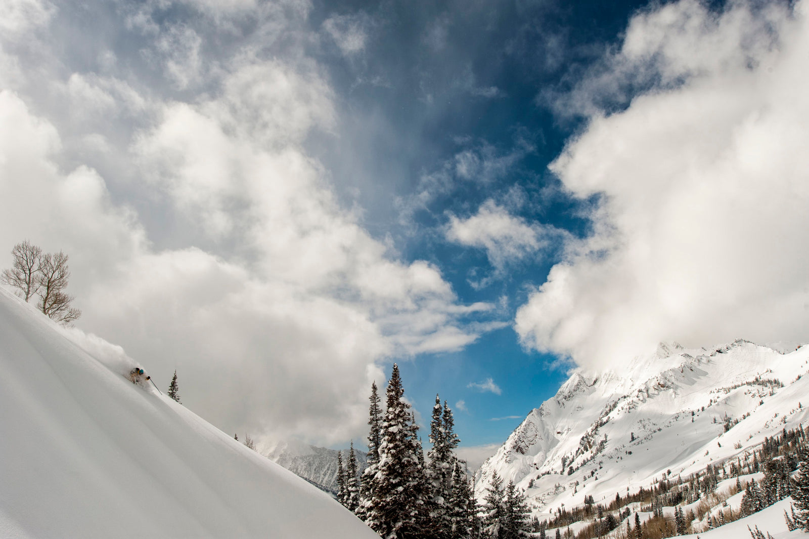 Deep powder skiing