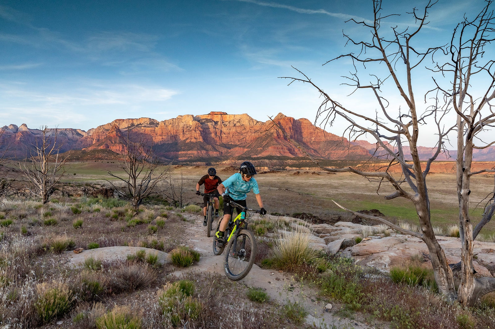 Where Can You Find A Bike This Season?!