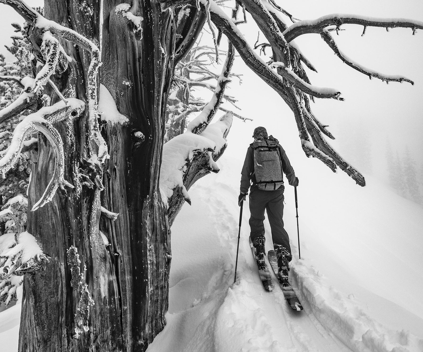 Ski Touring OH SH!T KIT 