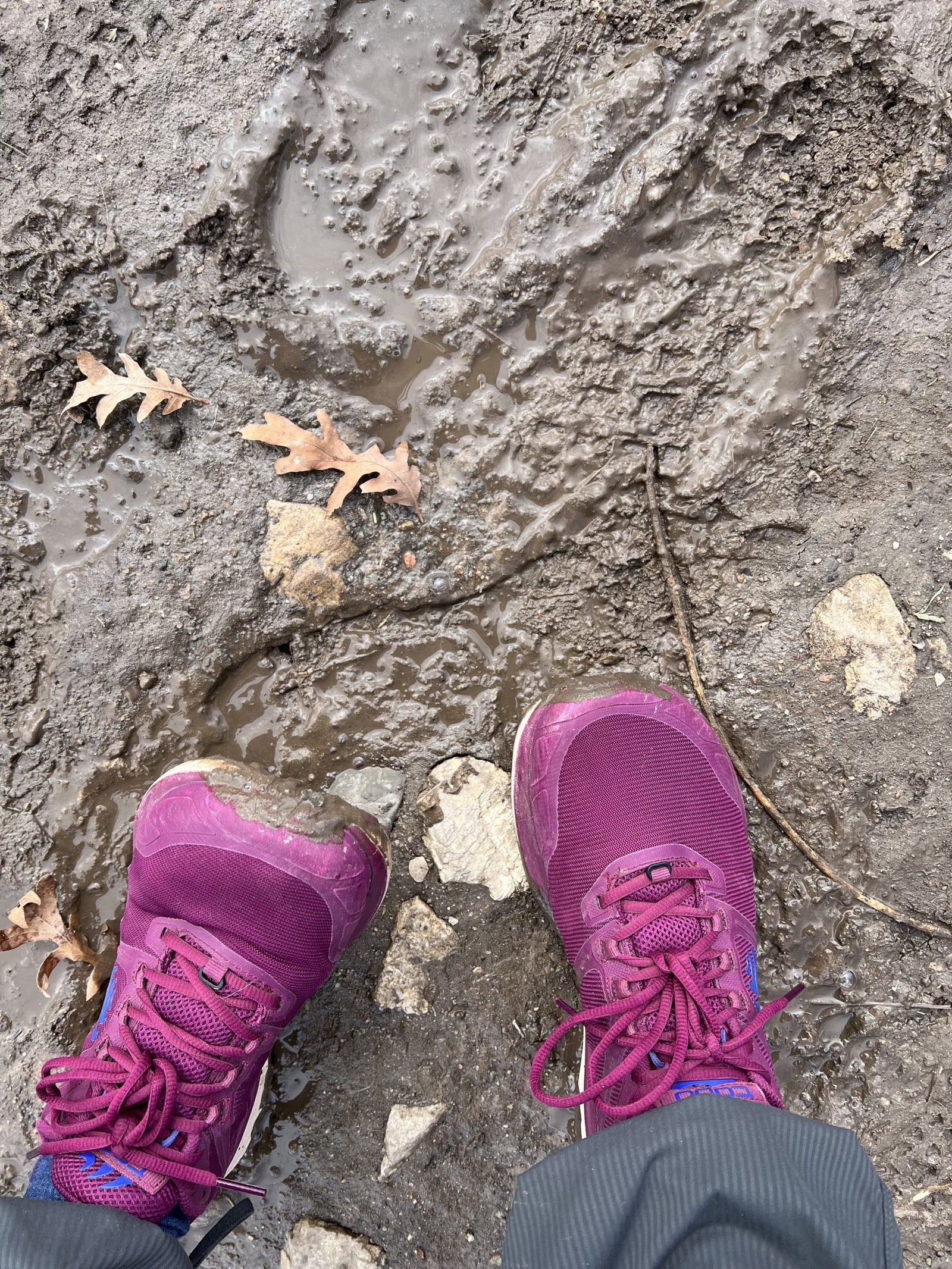 Are You Cleaning Your Hiking Shoes?