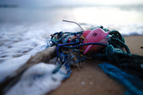GT: Plastic Free July