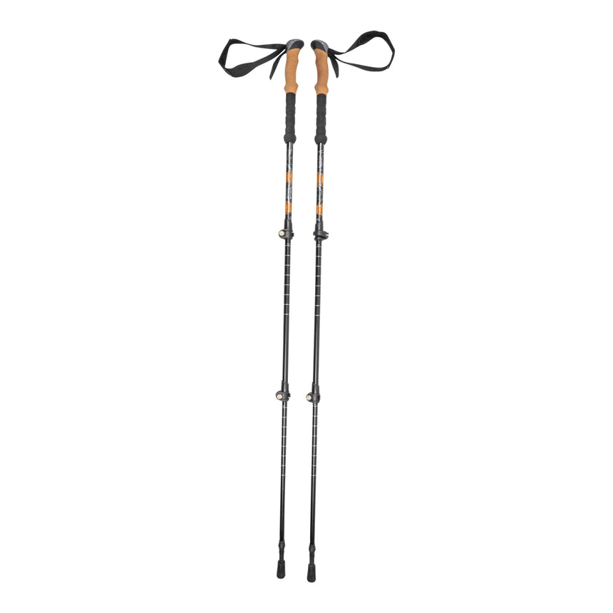 Cascade mountain tech quick lock trekking poles online