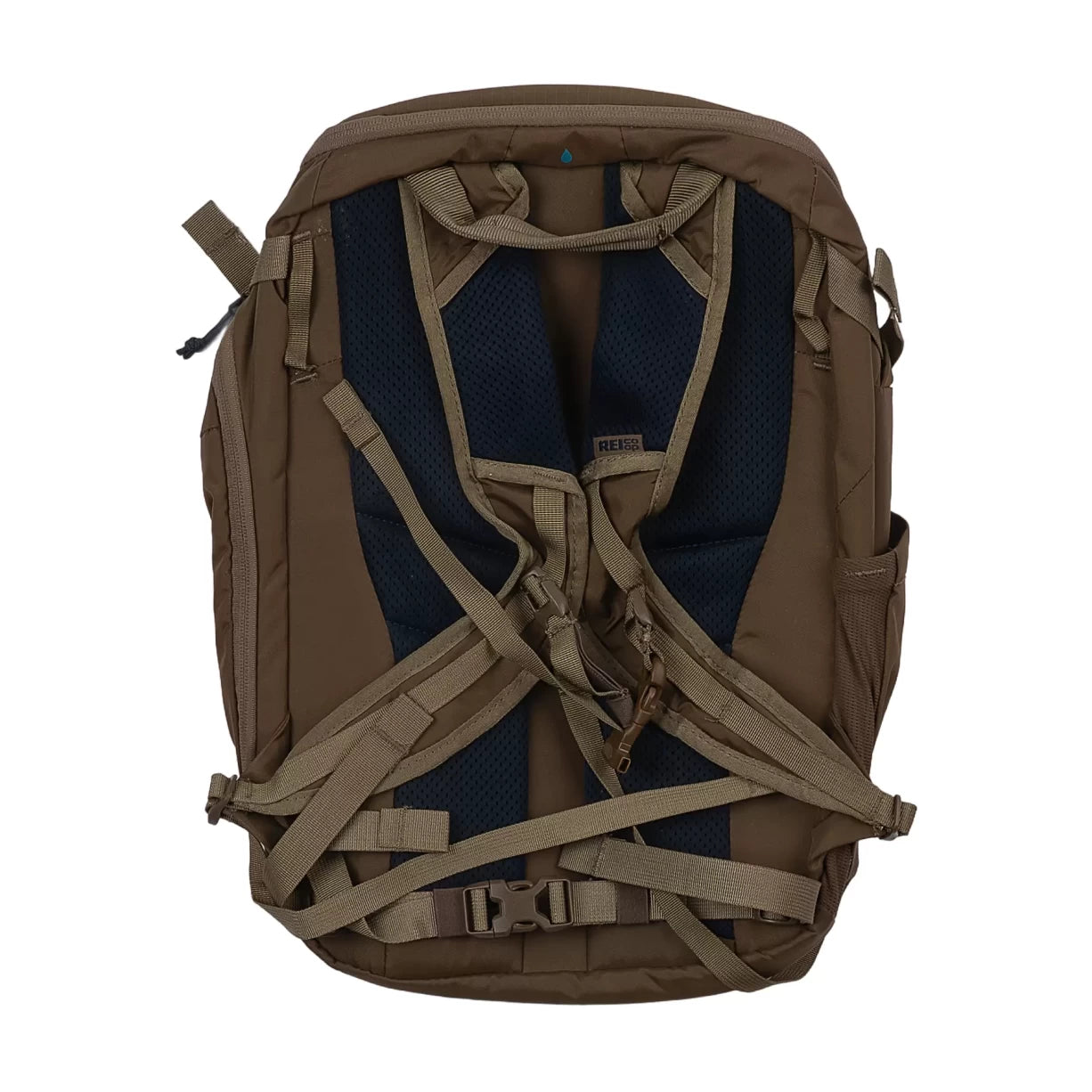 18 LBrown
