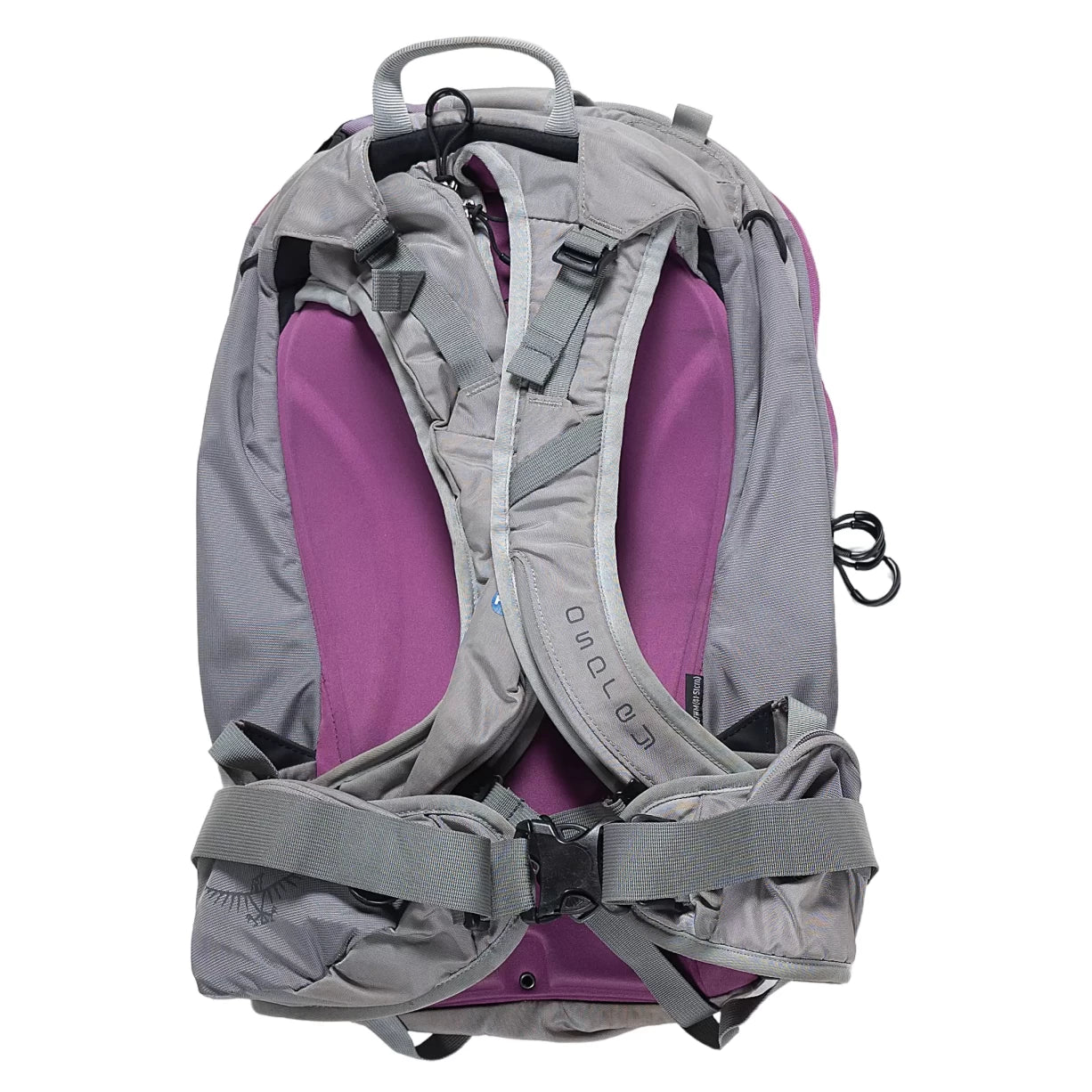 30 LGrey/Purple