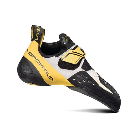 39.0White/Yellow