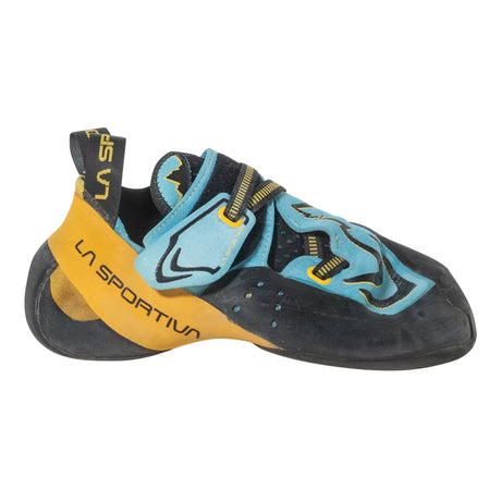 41.5Blue/Yellow