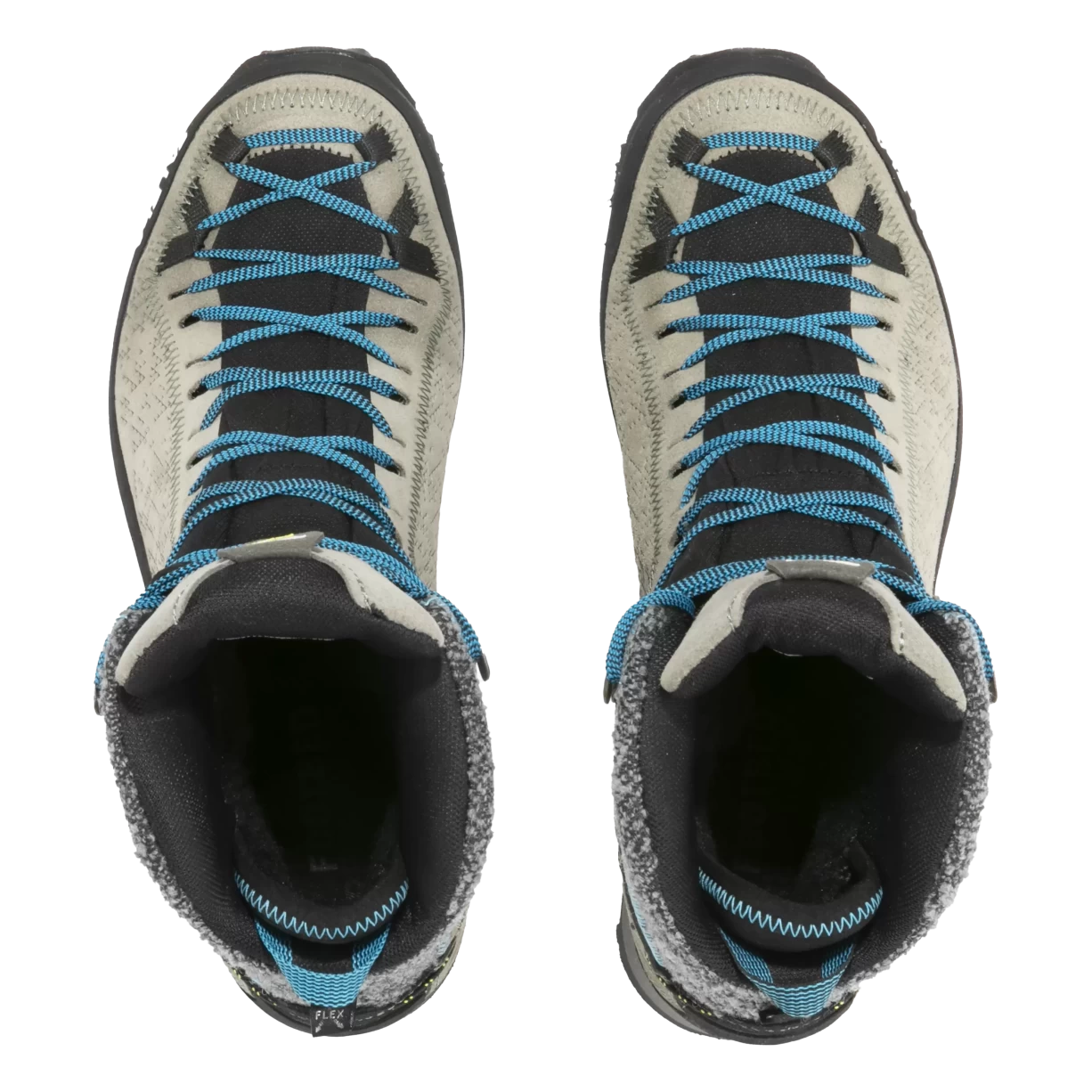 7Bungee Cord/Delphinium