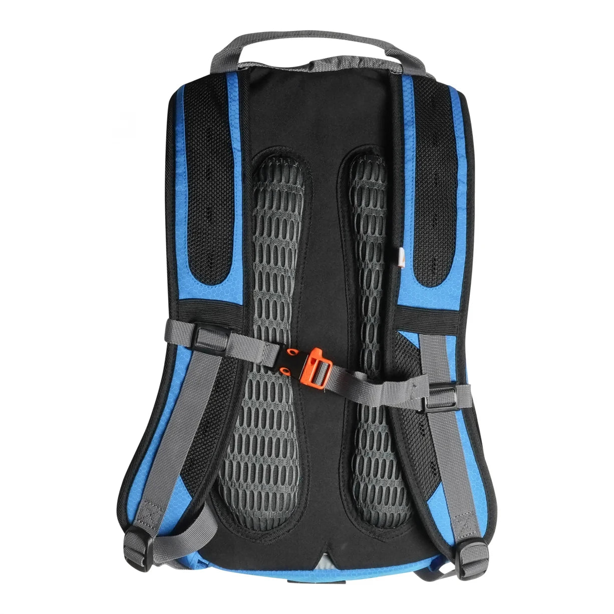18 LBlue