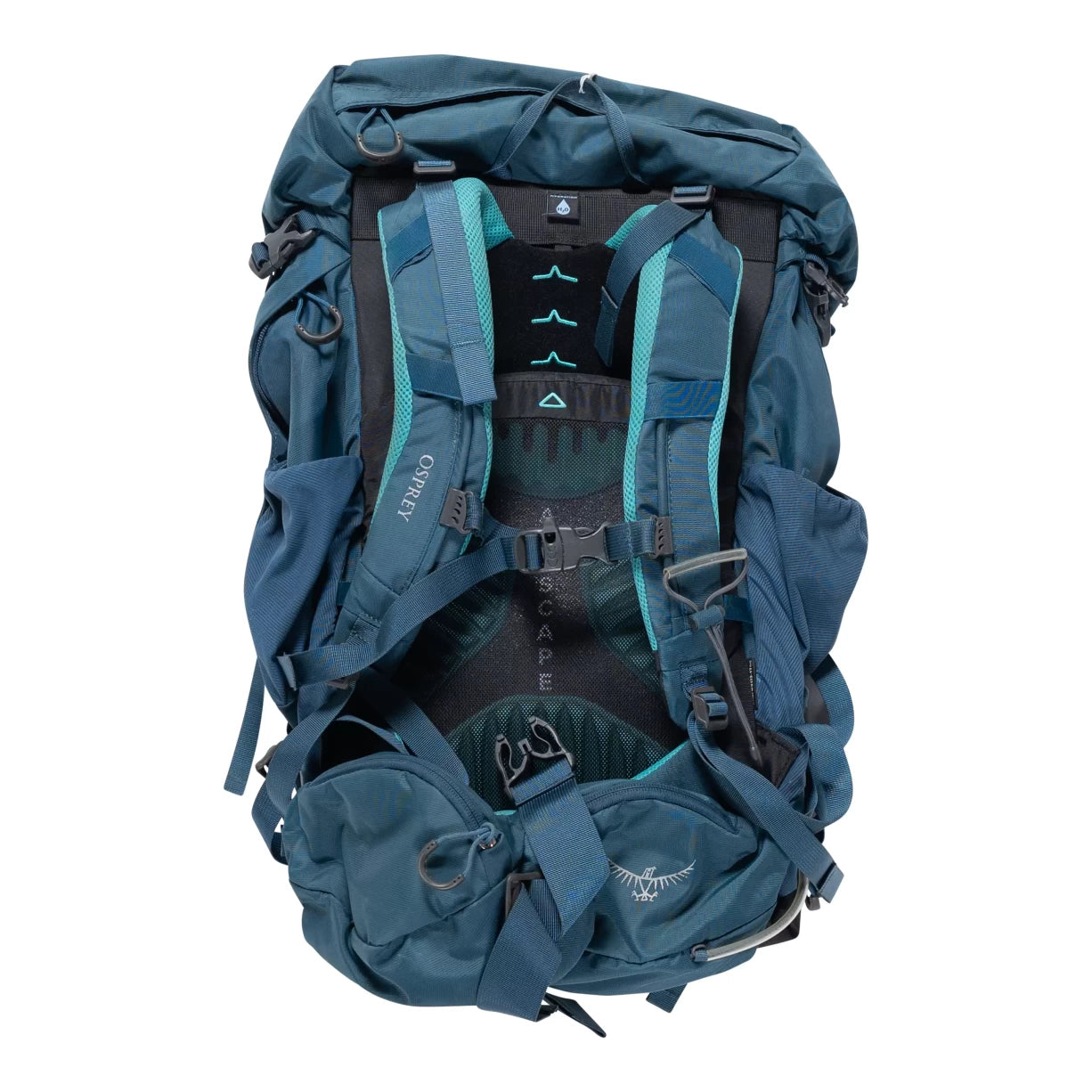 36 LBlue