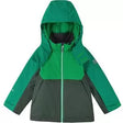 8Thyme Green