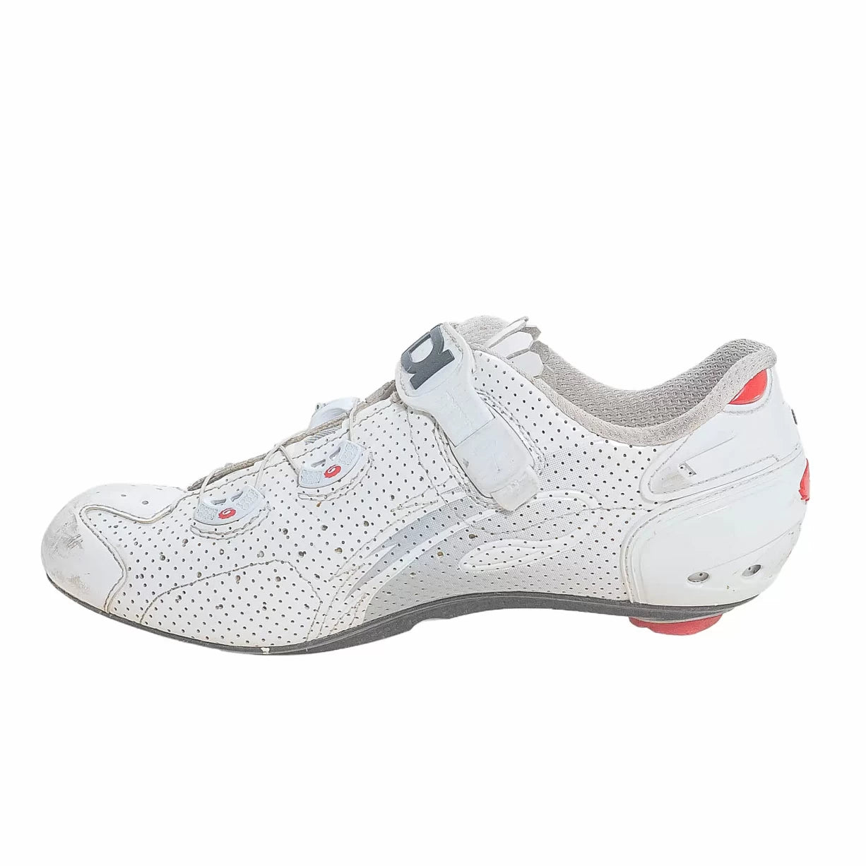 40.5White