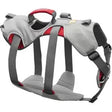 L/XLCloudburst Gray
