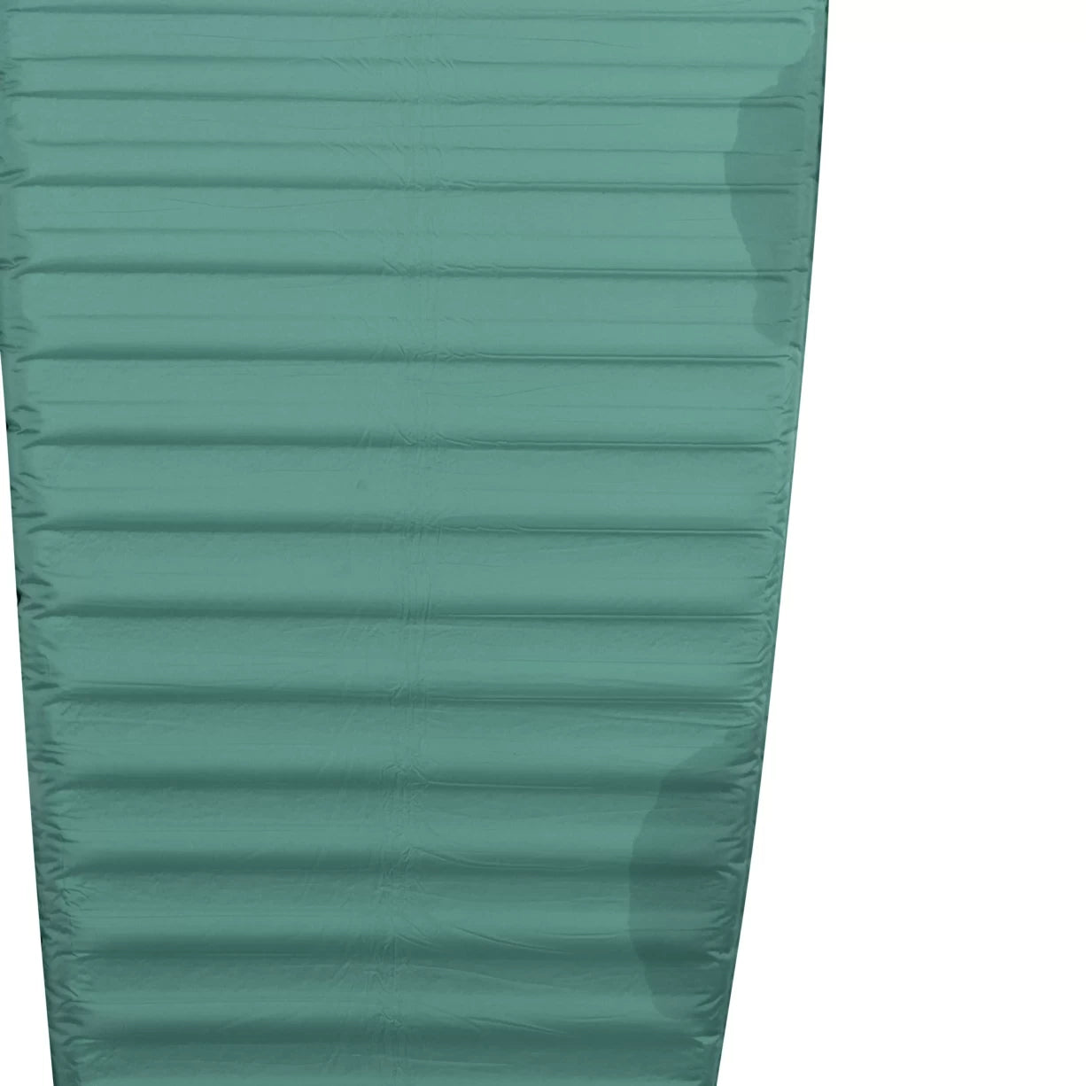 Regular WideGreen
